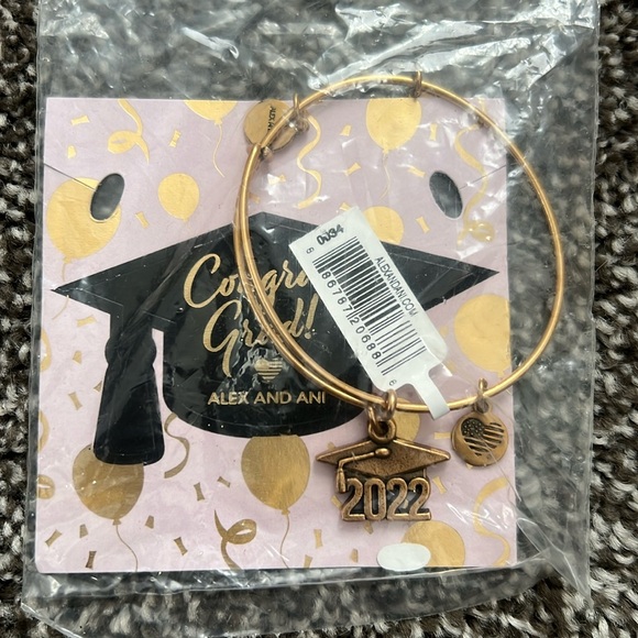 Jewelry - Alex n Ani Bracelet 2022